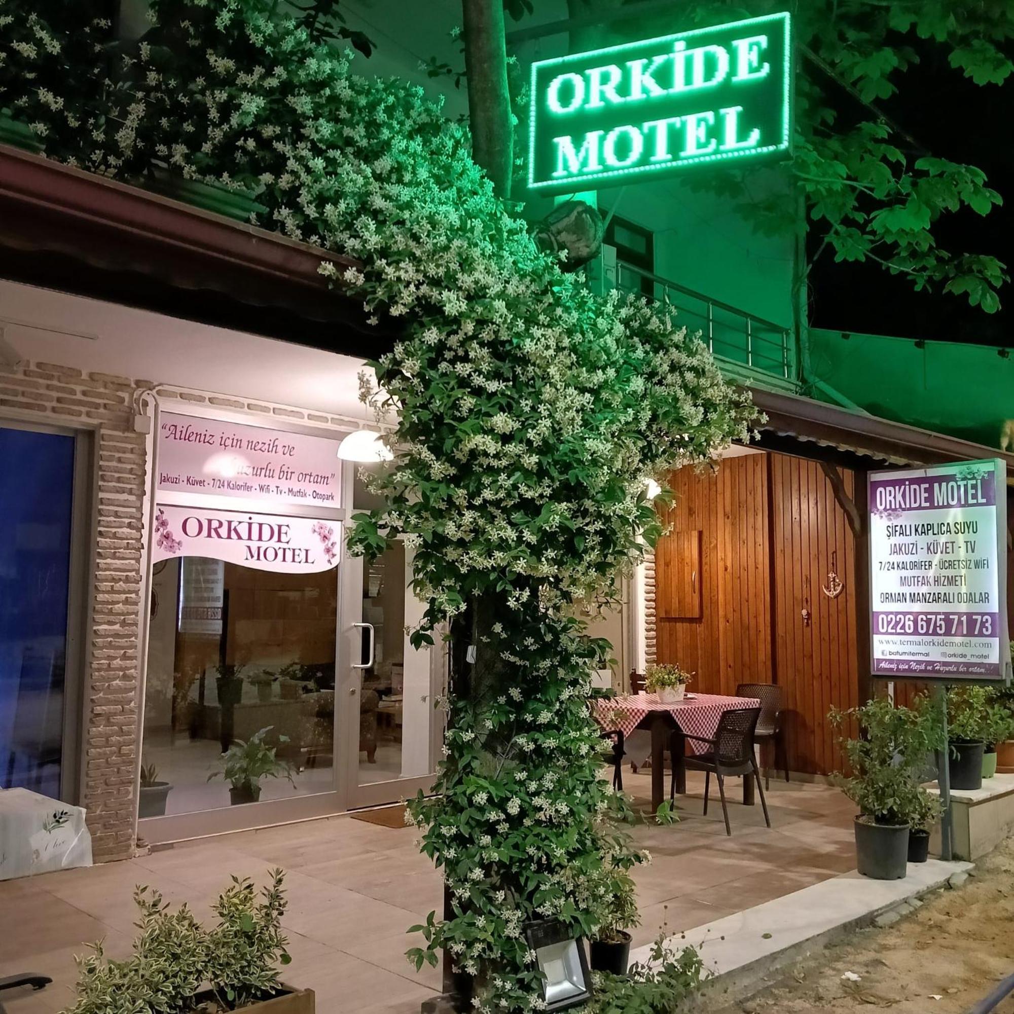 Thermal Orkide